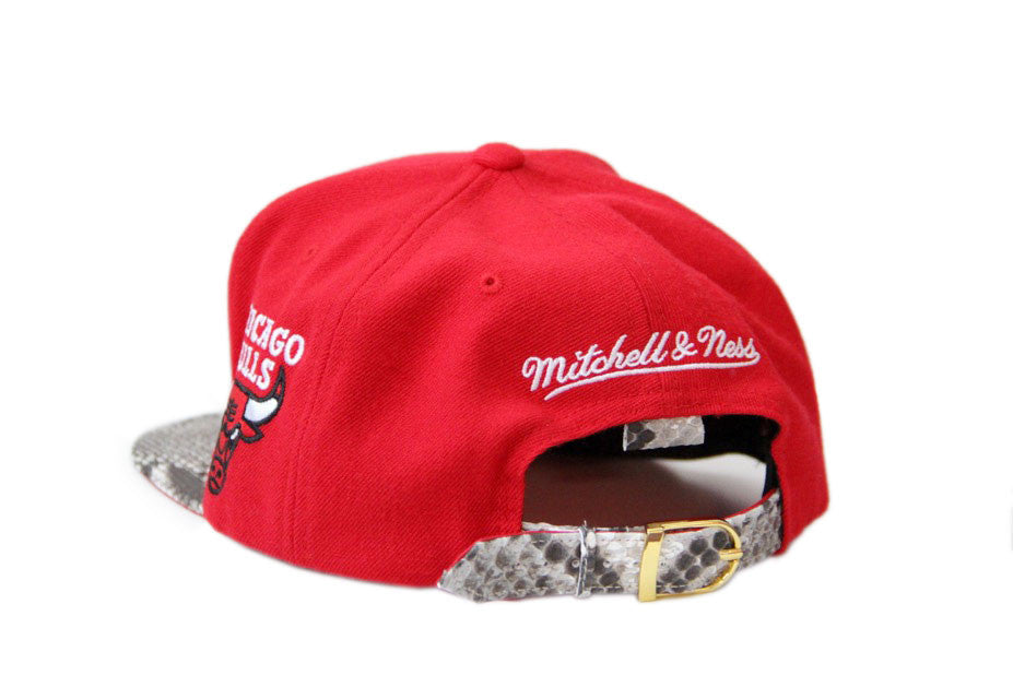 Custom Mitchell & Ness Chicago Bulls Special Script Natural Strapback