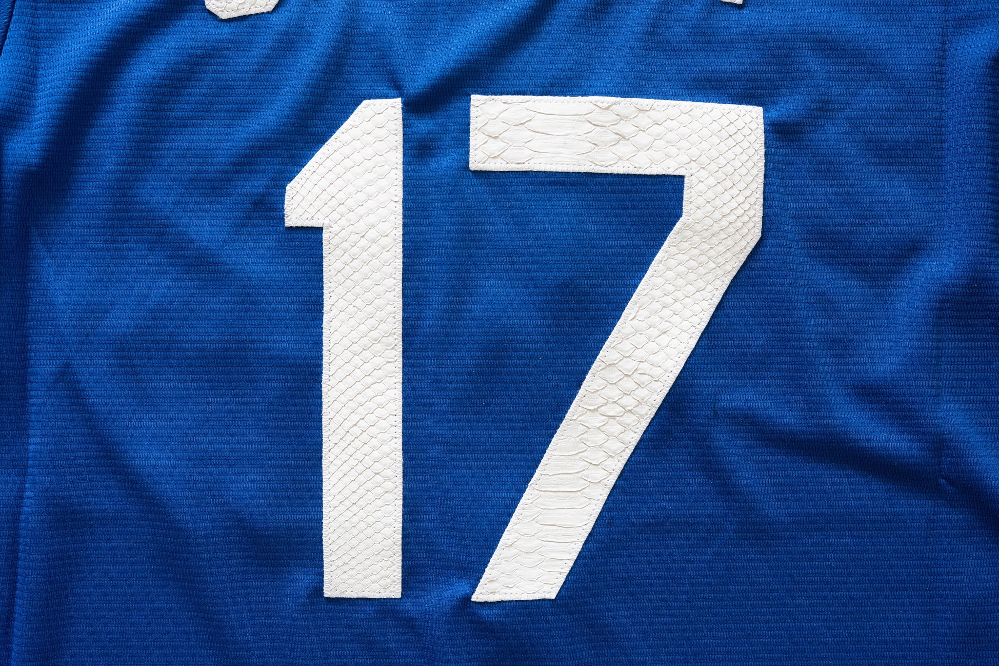 Nike Shohei Ohtani Los Angeles Dodgers Python Jersey (Blue)