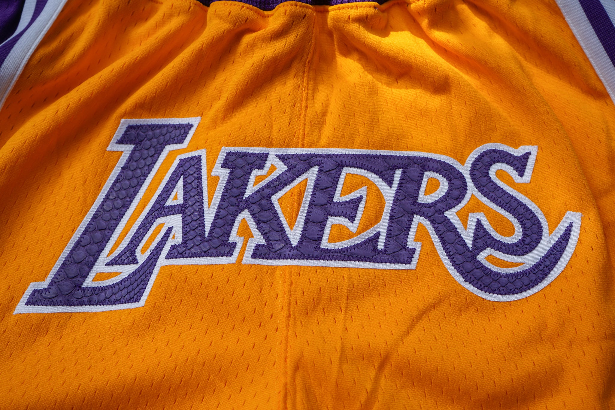 Mitchell & Ness Los Angeles Lakers 1996-1997 "LAKERS" Home Python Shorts