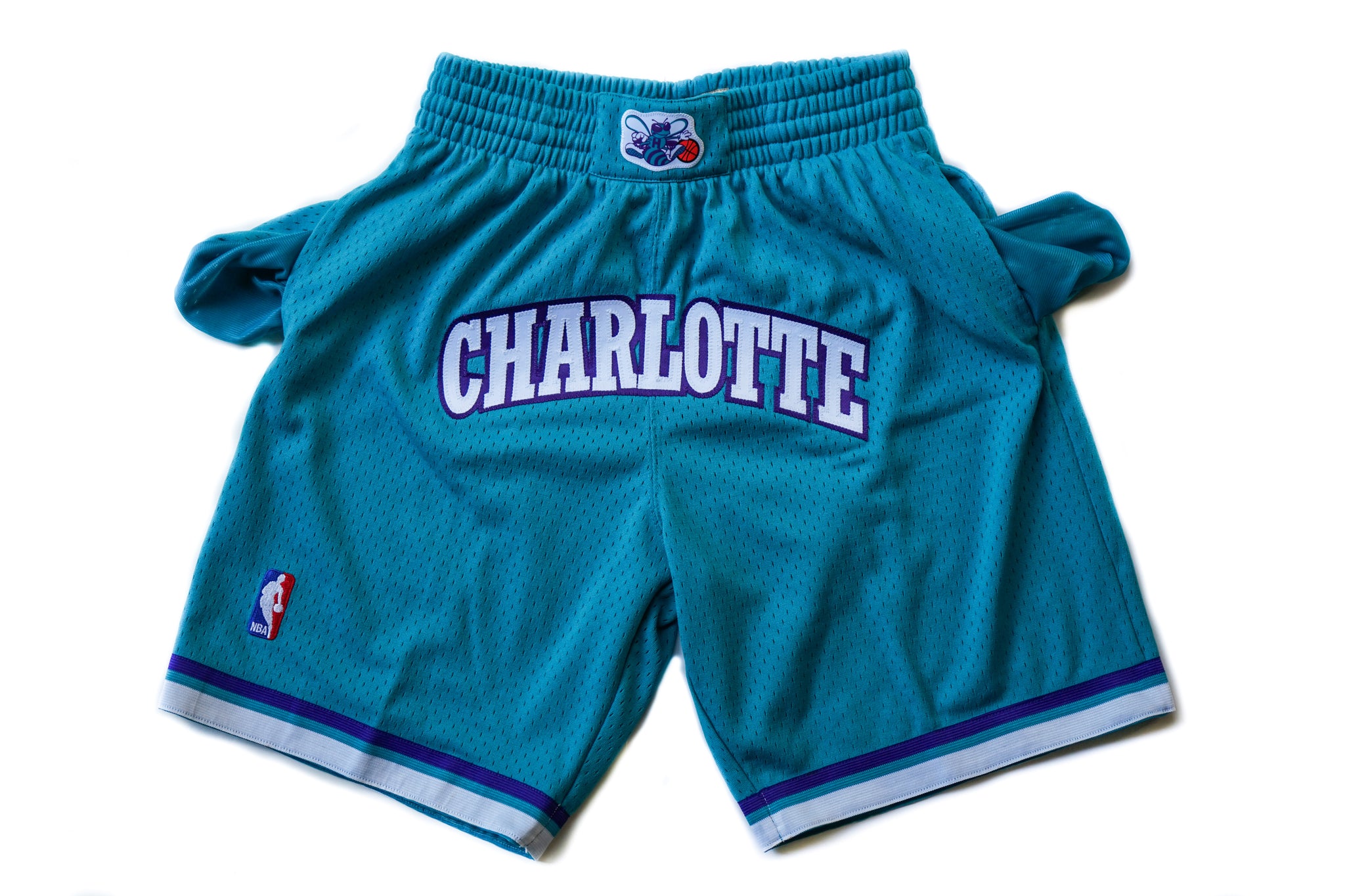 Mitchell & Ness Charlotte Hornets 1994-1995 "CHARLOTTE" Swingman Shorts